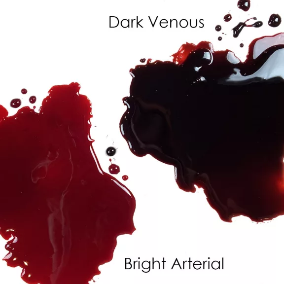 Mehron Stage Blood – Dark Venous (Sötét Vénás Mű Vér) 470 ml