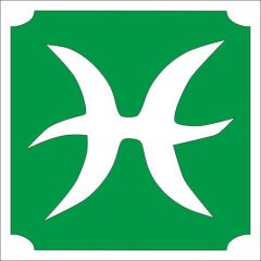 Csillámtetoválás sablon - Csillagjegyek Halak 490