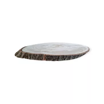 Fa szelet, ovál korong 42x27x3 cm 