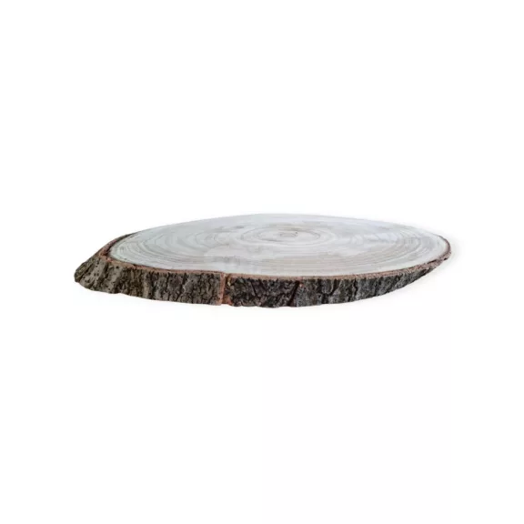 Fa szelet, ovál korong 42x27x3 cm 
