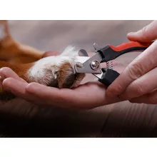 Biztonsági Karomvágó Olló Kutyáknak