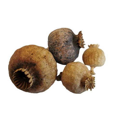 Mák gubó - szárított, szár nélkül