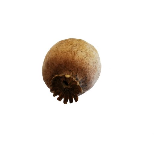 Mák gubó - szárított, szár nélkül