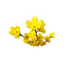 Aranyeső ág, mű 3 ágú 60cm