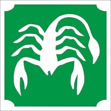 Csillámtetoválás sablon - Csillagjegyek Skorpió 483