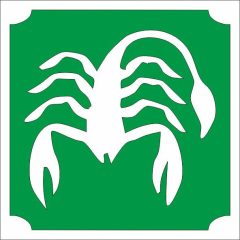 Csillámtetoválás sablon - Csillagjegyek Skorpió 483