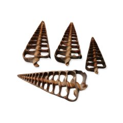 Szeletelt Dekor kagyló - sötét színű