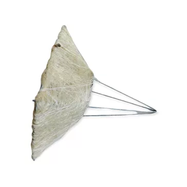 Szizál csokoralap 2 méretben