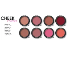 Mehron CHEEK Powder Palette – 8 Színű Púderpirosító Paletta, matt finis, kontúrozáshoz