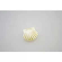 Akril gyöngy kagyló - 10 db/cs, 16x15 mm gyöngy fehér