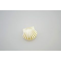 Akril gyöngy kagyló - 10 db/cs, 16x15 mm gyöngy fehér