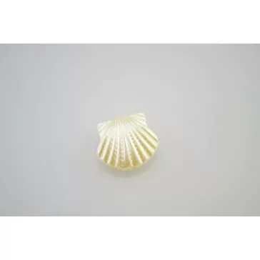 Akril gyöngy kagyló - 10 db/cs, 16x15 mm gyöngy fehér