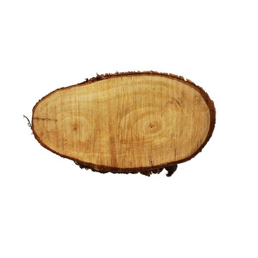 Fa szelet kerek és ovális forma 10 cm